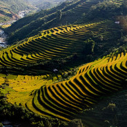 Một thoáng Sapa