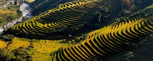 Một thoáng Sapa