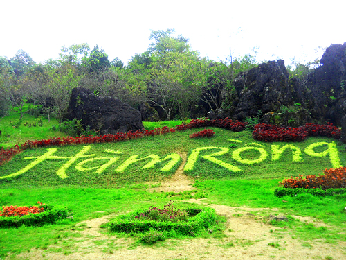 Hàm Rồng