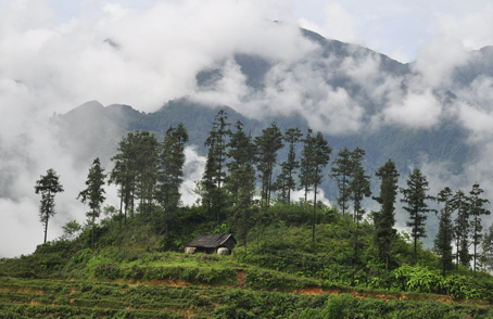 Sa Mu vẻ đẹp lãng mạn Sapa