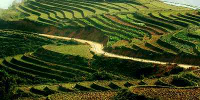 Thầm lặng Sapa