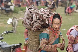 Muong Khuong Market