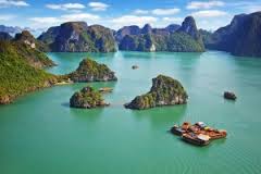 Diverse tropical ecosystems of Halong Bay