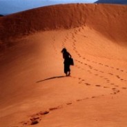 Mui Ne tour guide