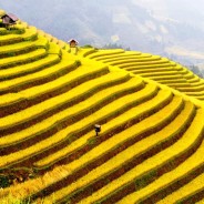 Tips to travel Sapa